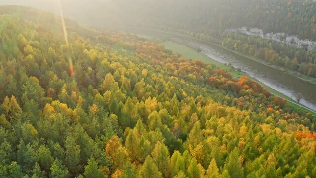 aerial flight over colorful trees and river Elbe in Saxon Switzerland, Germany