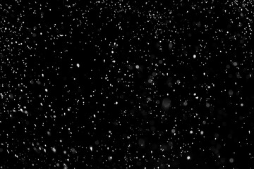 Falling Snow down On The Black Background