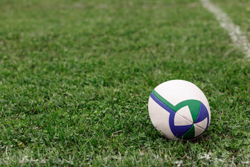 Plakat Rugby ball on green grass