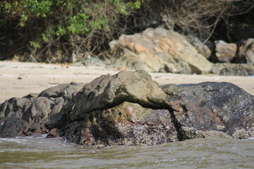 rocks on the beach
