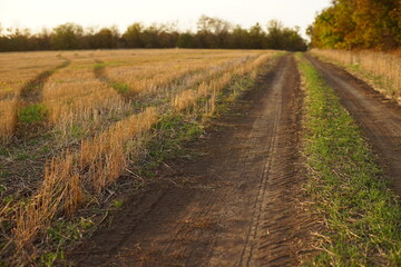 Rural landscape with wheat field and two roads in autumn