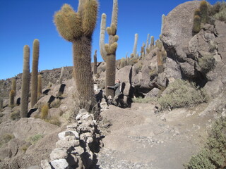 Sunset over the stunning salt flats, desert and mountain landscapes around Salar de Uyuni in Bolivia, South America