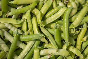 green pea pods lie on the surface in an even layer