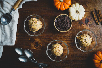 Pumpkin chocolate chip ice cream