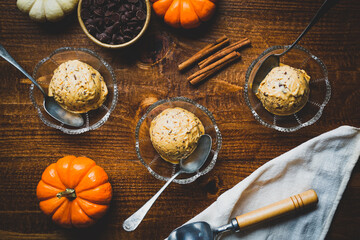Pumpkin chocolate chip ice cream