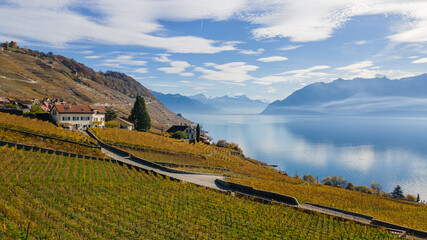 Legends of the fall in Lavaux, Switzerland.