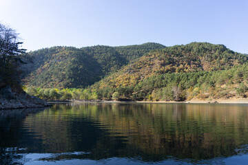 Fototapeta na wymiar Reflections by the lake on a sunny autumn day