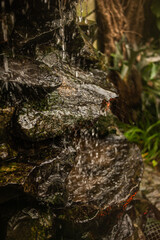 Autumn park background details