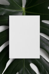 White invitation card mockup with a monstera leaf. 5x7 ratio, similar to A6, A5.