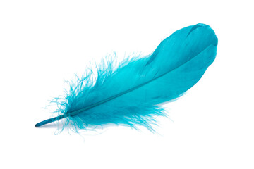 Blue fluffy feather isolated on the white - obrazy, fototapety, plakaty