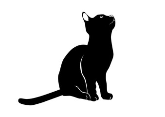 Sitting cat. Black and white silhouette of a sitting cat. Flat vector.