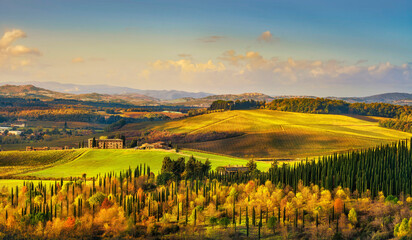 Castellina in Chianti landscape, vineyards and trees. Tuscany, Italy