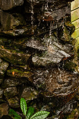 Autumn park background details