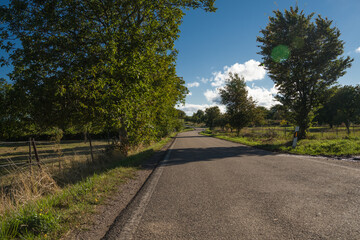 Weinstraße in der Pfalz