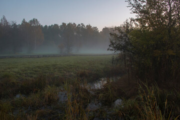An early morning in the meadows of Kampinos National Park. The fog is covering the bushes and trees and makes their silhouettes blurry.