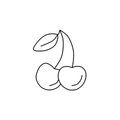 Cherry sketch. Fruits  illustration
