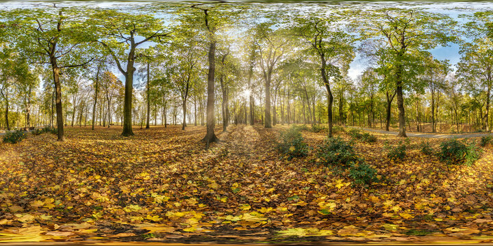 full seamless spherical hdri panorama 360 degrees angle view in beautiful autumn forest or park with bright sun shining through the trees in equirectangular projection, ready VR AR content