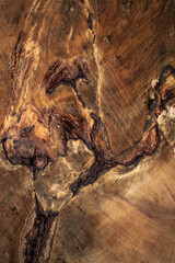The stump of a felled tree. Texture close-up. The destruction of trees for the needs of humanity has led to an environmental disaster. High quality photo