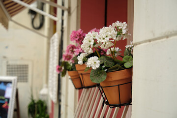 Fototapeta na wymiar on the street Windows with flowers