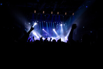 Partying Crowd on a  Concert