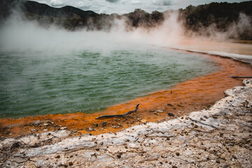 Brodelndes Farbenspiel