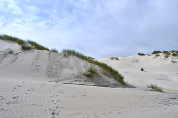Dune en Normandie