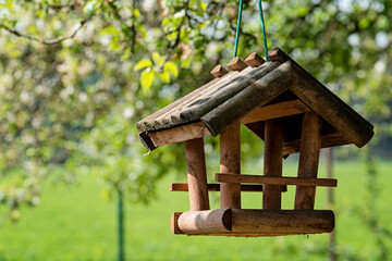 Bird feeder hang on the tree in the garden. Wooden bird house in daytime. Bokeh background. Copy space.