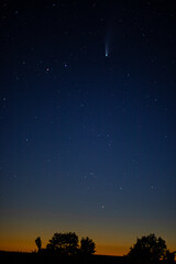 Fototapeta na wymiar Neowise. Ein Komet am Abendhimmel