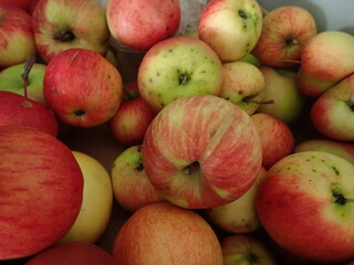 fresh red and green apples