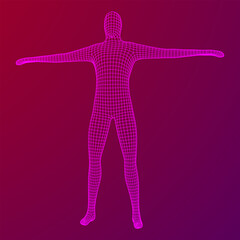 Male or man anatomy. Body biology medicine education concept.