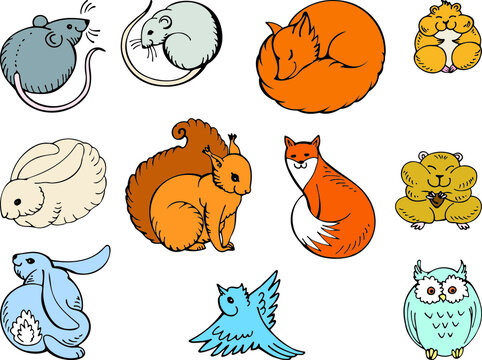 Cute forest animals. Mouse, Hare, fox, bird, owl, squirrel, hamster. Colorfull and flat stock illustration. Hand drawn vector.