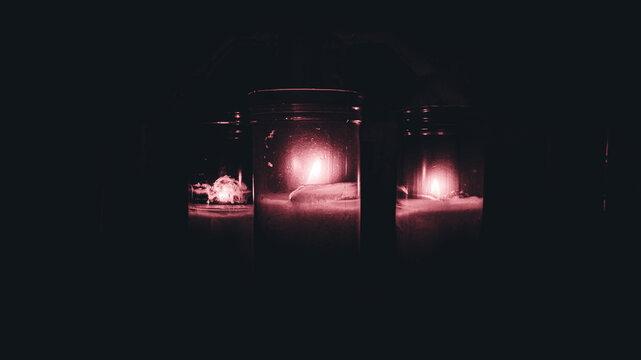Candles in a dark background.