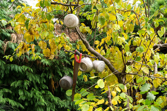 Pots and pans hanging from a tree