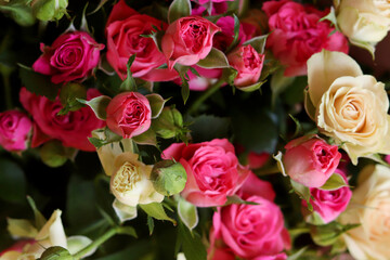 Background of pink and yellow roses