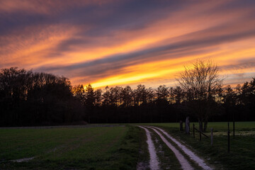 Fototapeta na wymiar Dirt road leading up the Veluwe Forest and National Park in the Netherlands near Loenen at sunset.