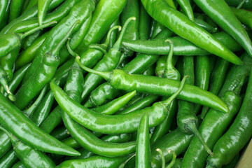 background of green chili peppers