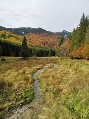 Autumn landscape in the mountains