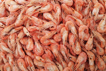 Shrimps. The fish market. Shrimps background texture. A lot of sea shrimp