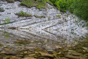 Fototapeta premium moss on the stone