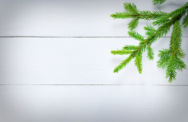 Christmas decoration green fir branches on white wooden board