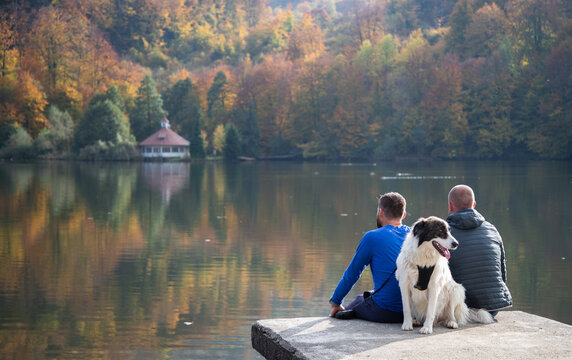two men and dog sitting by autumn lake