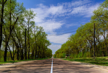 Fototapeta na wymiar Straight long asphalt road in the forest. Chernobyl Exclusion Zone. Entry into the city.