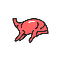 Lamb carcass color line icon. Pictogram for web page, mobile app, promo.