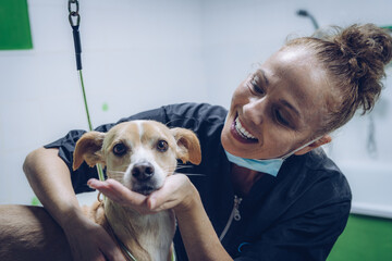 A young woman with a mask cuts the hair of a medium-sized brown dog