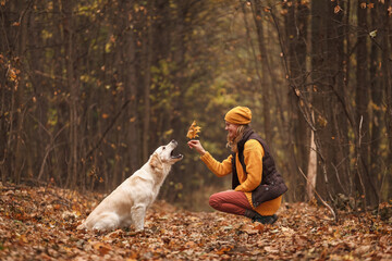 Young woman playing with golden retriever in autumn forest

