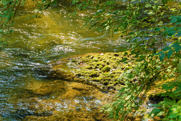 Schlucht Eistobel im Westallgäu