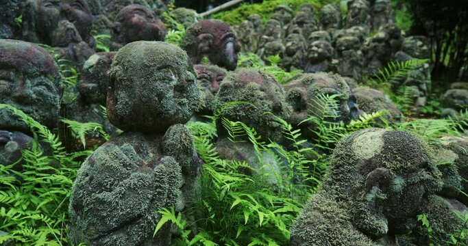 Old stone statues hidden in ferns, Kyoto, Japan