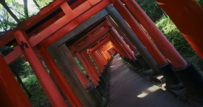 Spinning cam, Torri Gates in Fushimi Inari Taisha