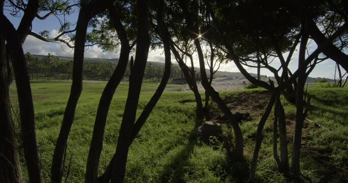 Walking closer to Easter Island heads, wide