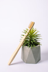 Eco-friendly Bamboo toothbrush and green flower isolated on grey background. Oral care concept. Ecological health accessories.